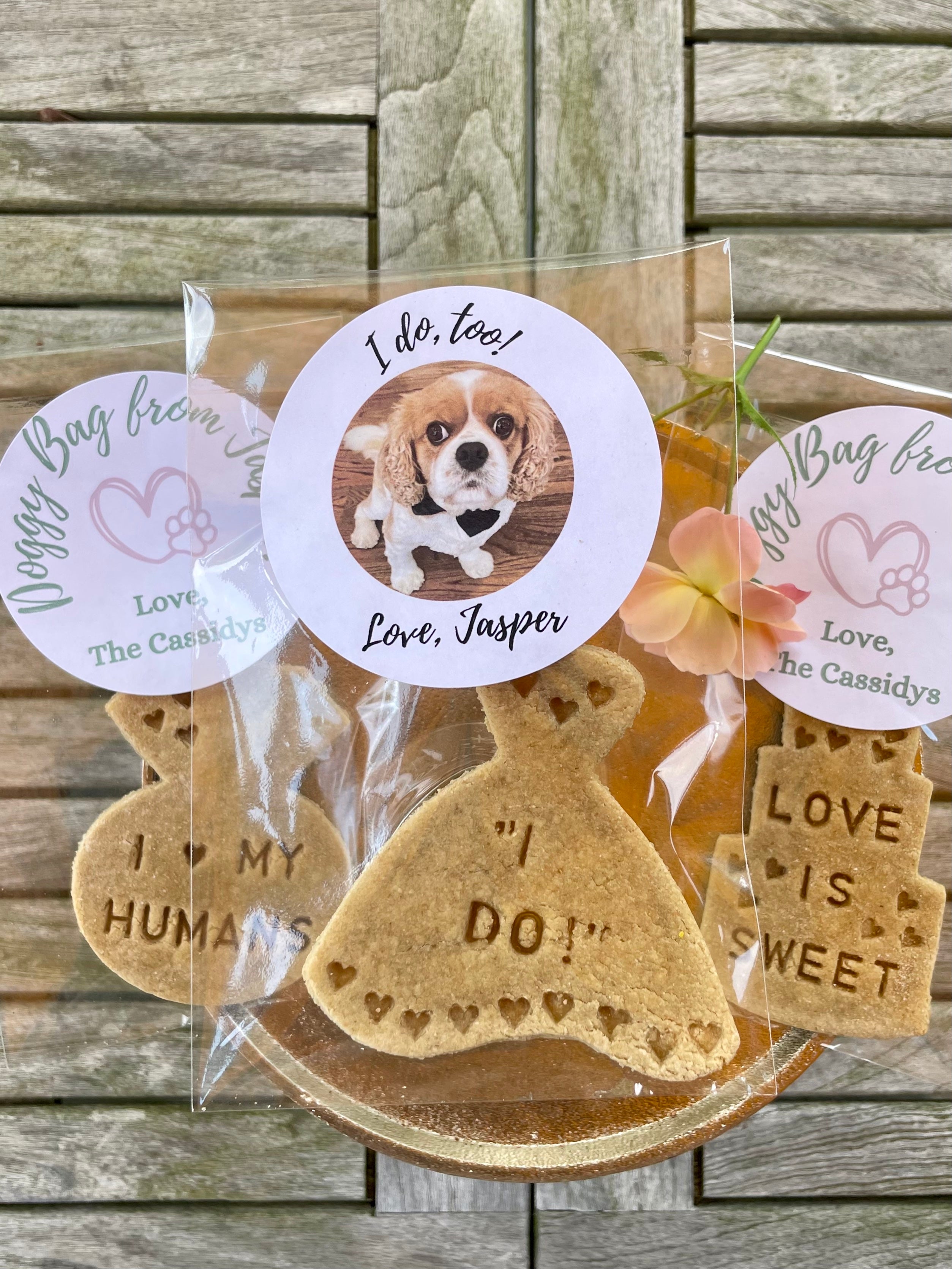 Recycled Grain Peanut Butter Dog Treats popular Wedding Favors